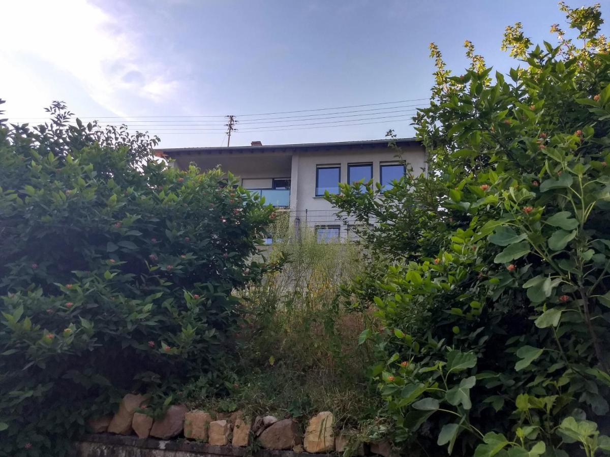 Ferienhaus Fraeulein Frenz Bollendorf Dış mekan fotoğraf