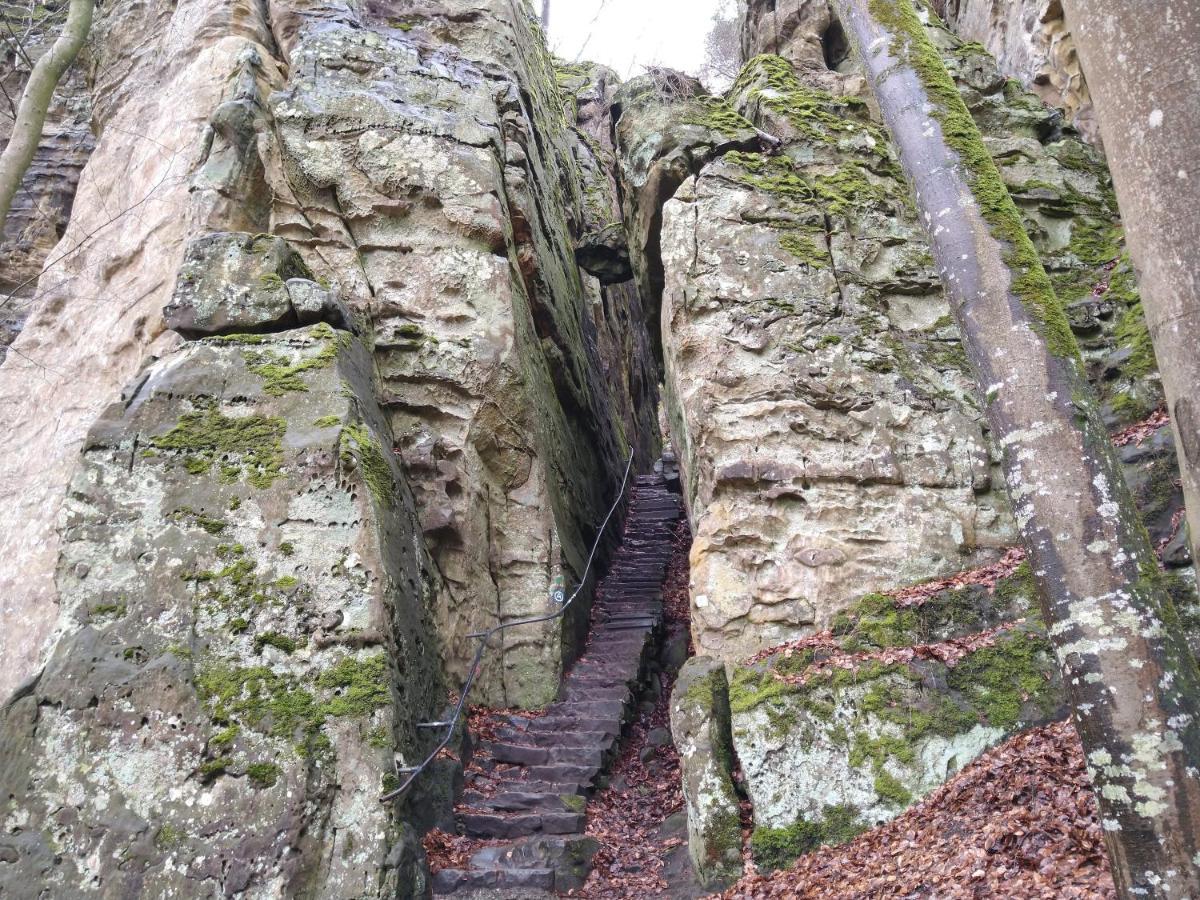 Ferienhaus Fraeulein Frenz Bollendorf Dış mekan fotoğraf