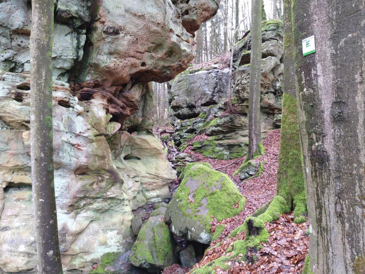 Ferienhaus Fraeulein Frenz Bollendorf Dış mekan fotoğraf
